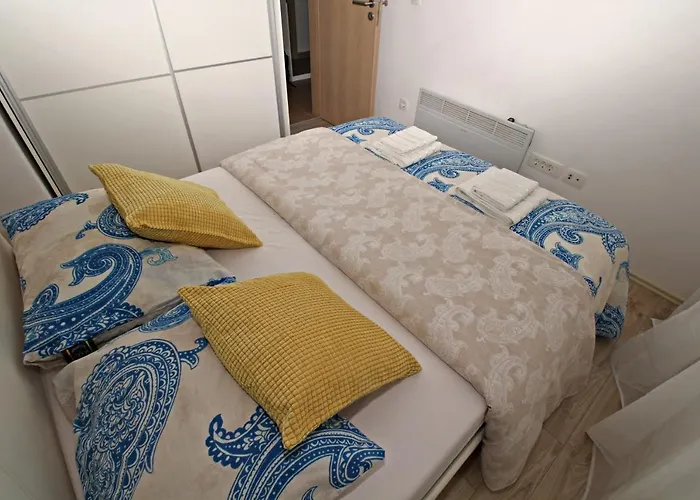 Cozy Dreams 자다르